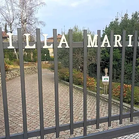 Marisa